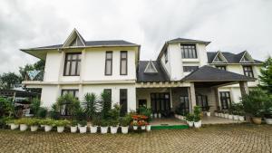 kohima