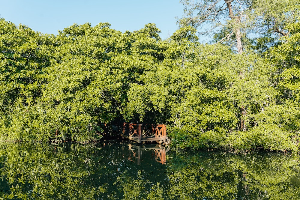 jetwing kurulubedda adults only