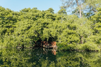 jetwing kurulubedda adults only