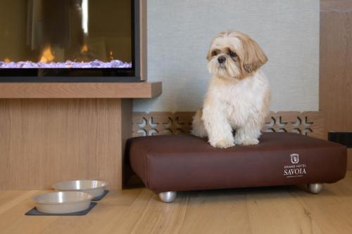 grand hotel savoia cortina dampezzo a radisson collection hotel