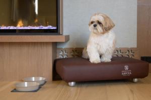 grand hotel savoia cortina dampezzo a radisson collection hotel