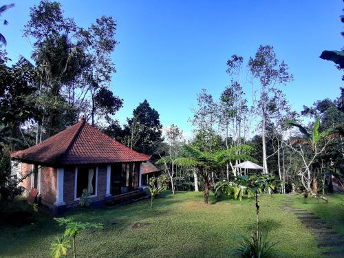 jatiluwih