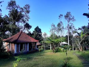 jatiluwih