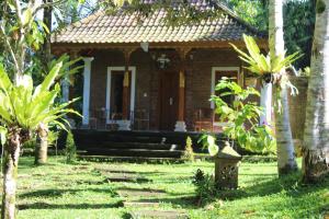 jatiluwih