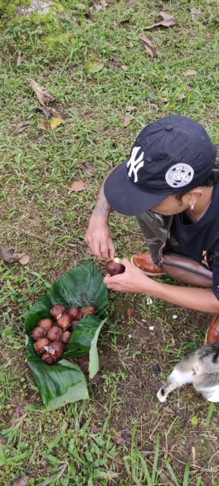 jatiluwih