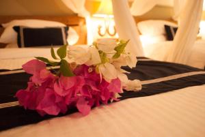 casa narrow villa rote