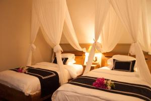 casa narrow villa rote