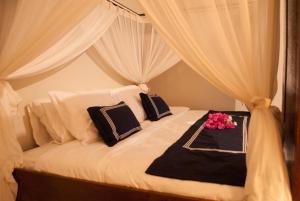 casa narrow villa rote