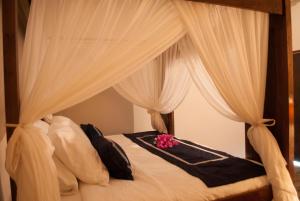 casa narrow villa rote