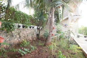 casa narrow villa rote