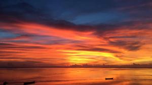 casa narrow villa rote