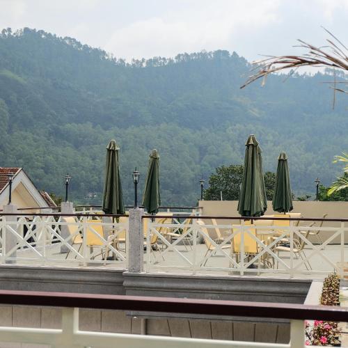 rosetta homestay