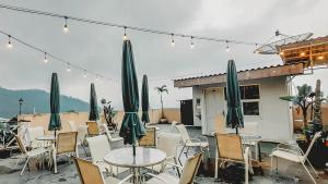 rosetta homestay