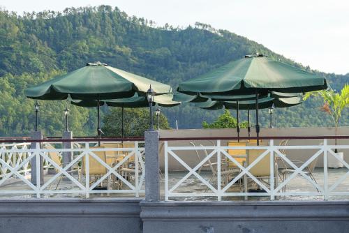 rosetta homestay