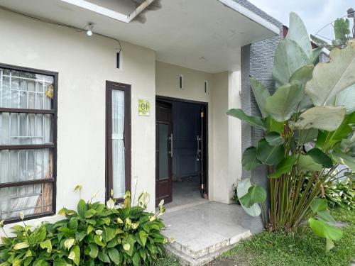 owk homestay