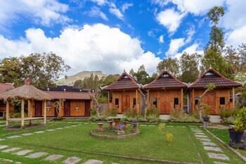 kintamani