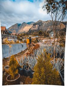 gubuk ndeso homestay