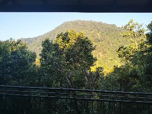sugi gede homestay
