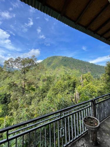 sugi gede homestay