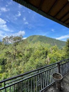 sugi gede homestay