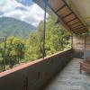 sugi gede homestay