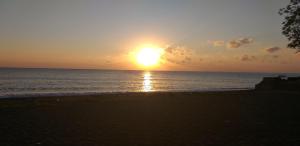 amed