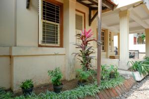 reddoorz syariah near alun alun purwokerto