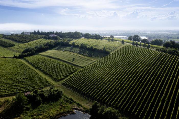 lalpenice bioagriturismo