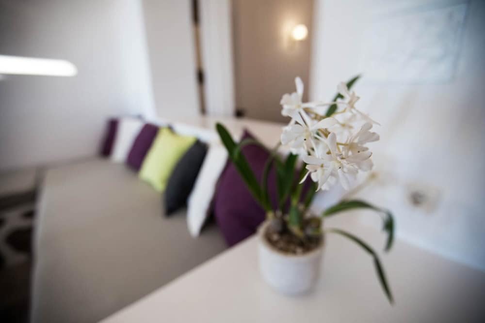 afroessa hotel by pearl hotel collection