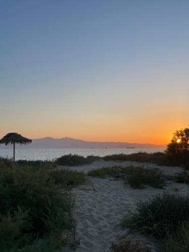 naxos