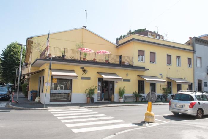 il ragno d oro