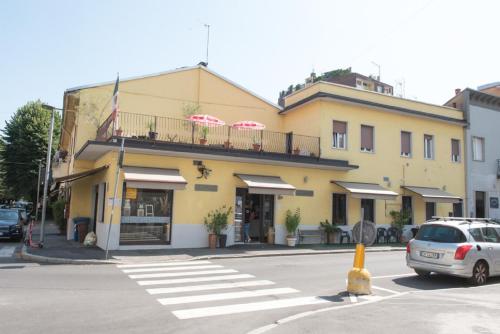 il ragno d oro