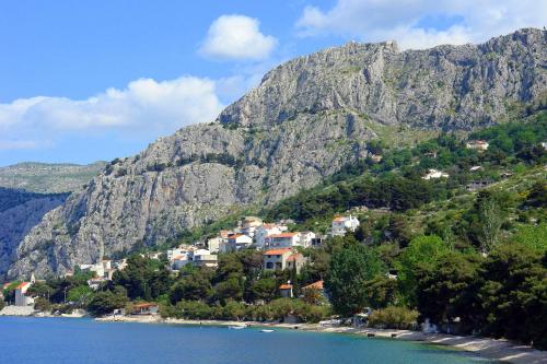 omis