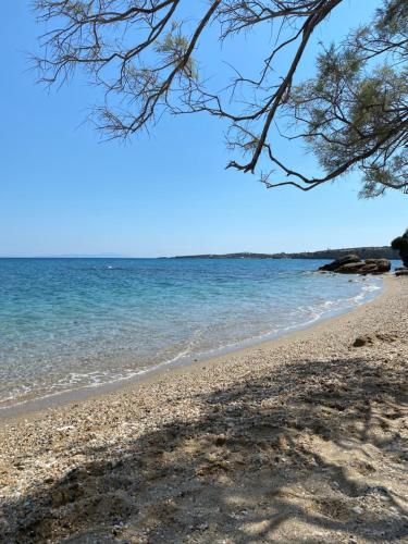 paros