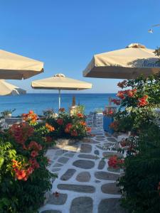 nissiotiko hotel