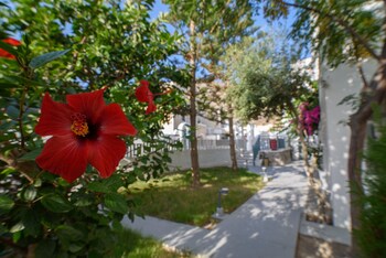 iris boutique hotel