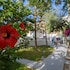 iris boutique hotel