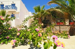 manos syros
