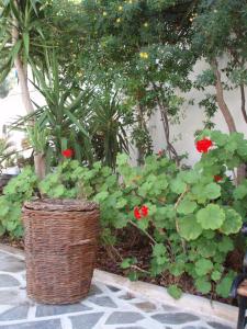 matina hotel
