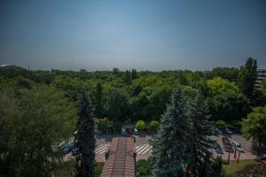 jolly alon hotel