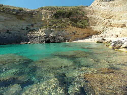 agriturismo le tagliate