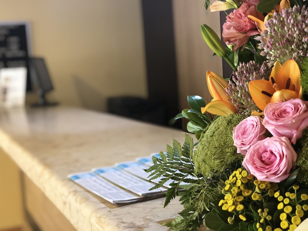 ibeurohotel guadalajara expo