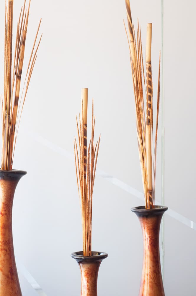 ibeurohotel guadalajara expo