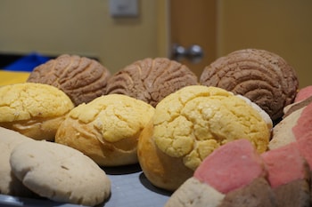 ibeurohotel guadalajara expo