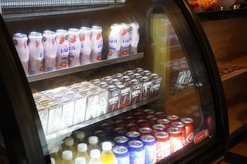 ibeurohotel guadalajara expo