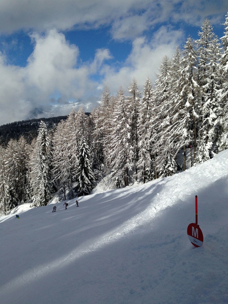 aprica