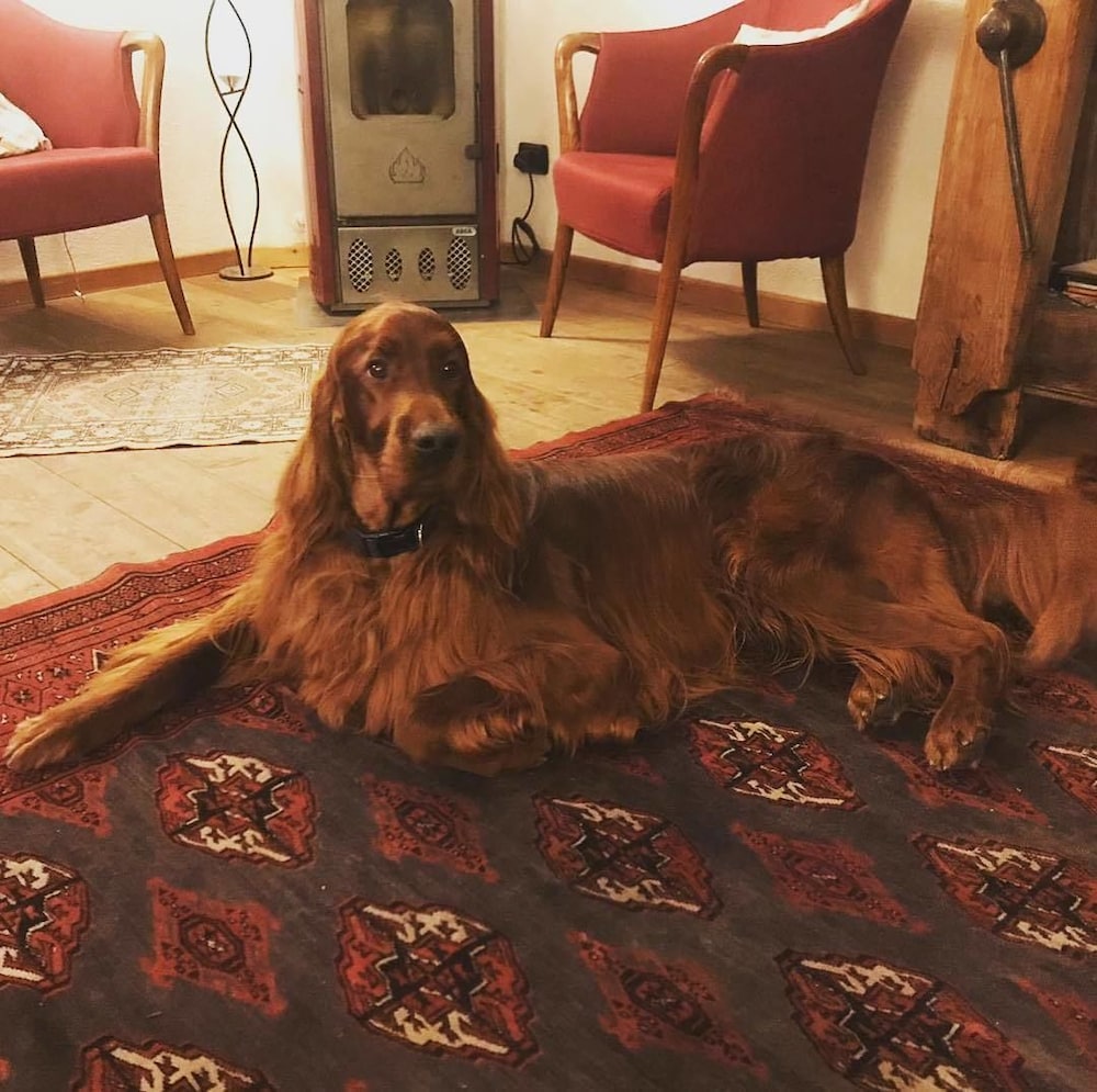albergo aprica garni