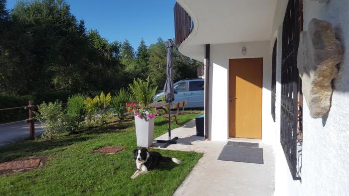 casa polsa 1964