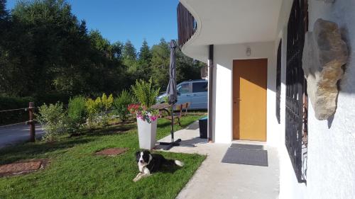 casa polsa 1964