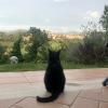 terni